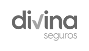 Divina seguros